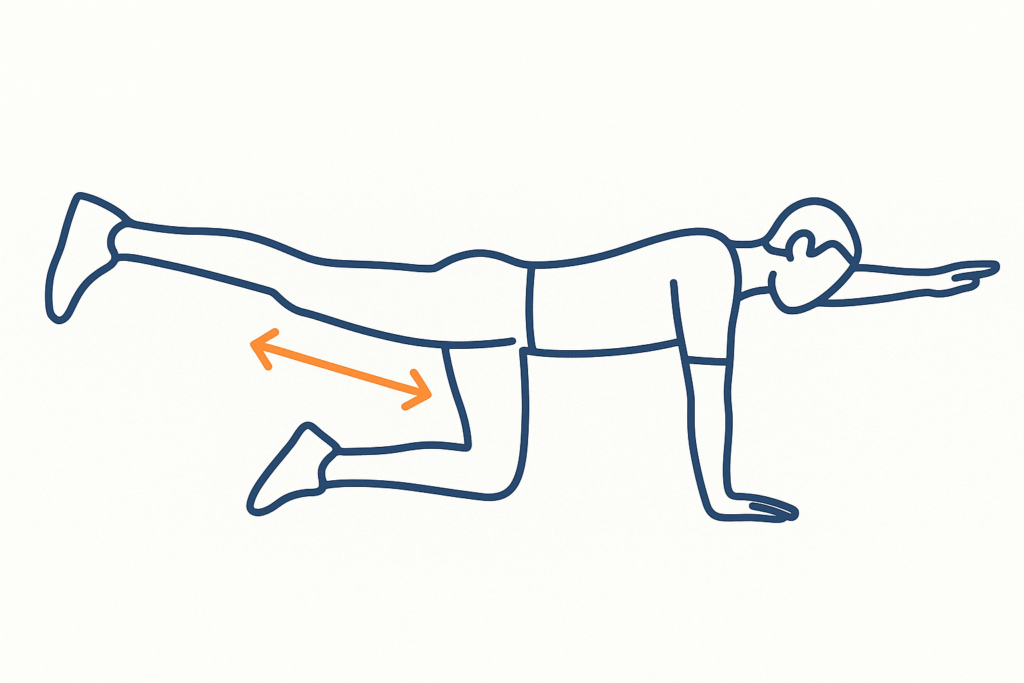 bird dog for sciatica