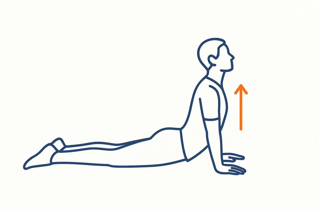 prone press up crobra style exercises for sciatica