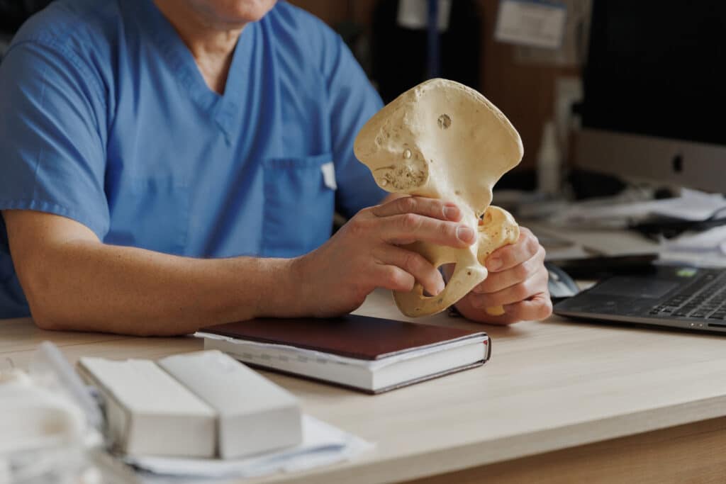 physician examining human pelvis anatomy model in clinic